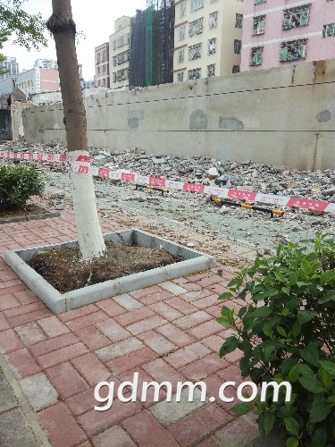 IMG_20180410_073029.jpg