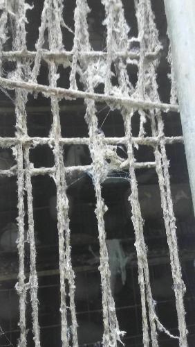 mmexport1523515780945.jpg