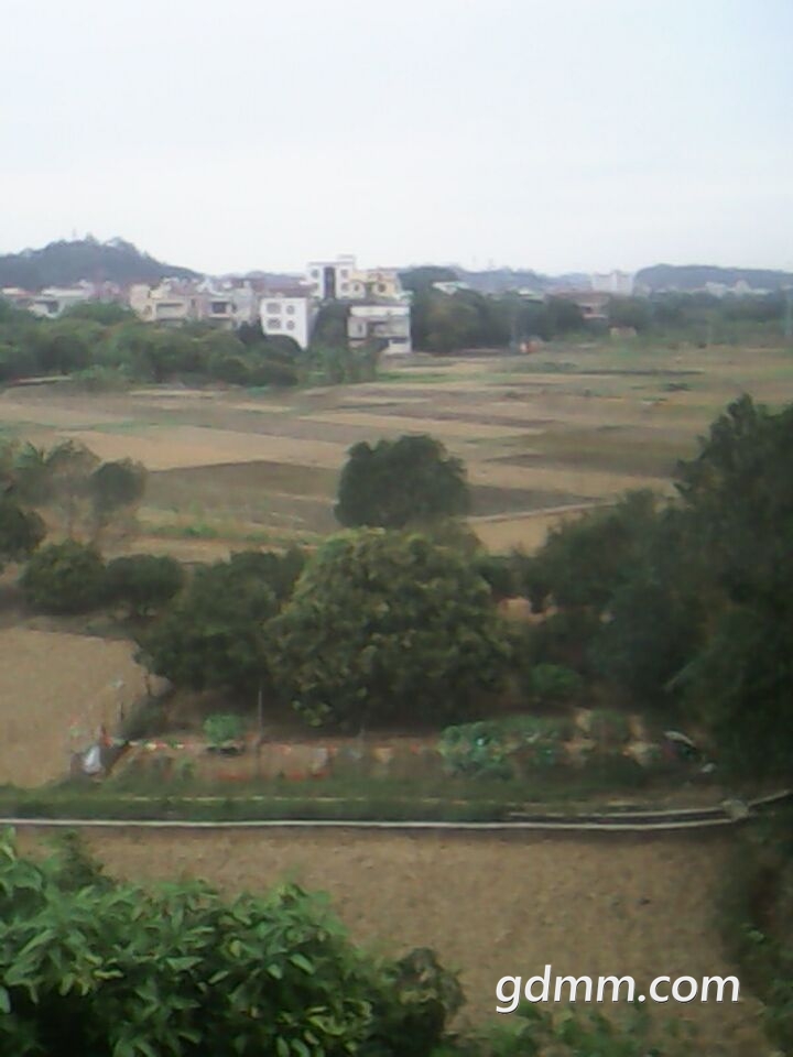 QQͼƬ20180413213853.jpg