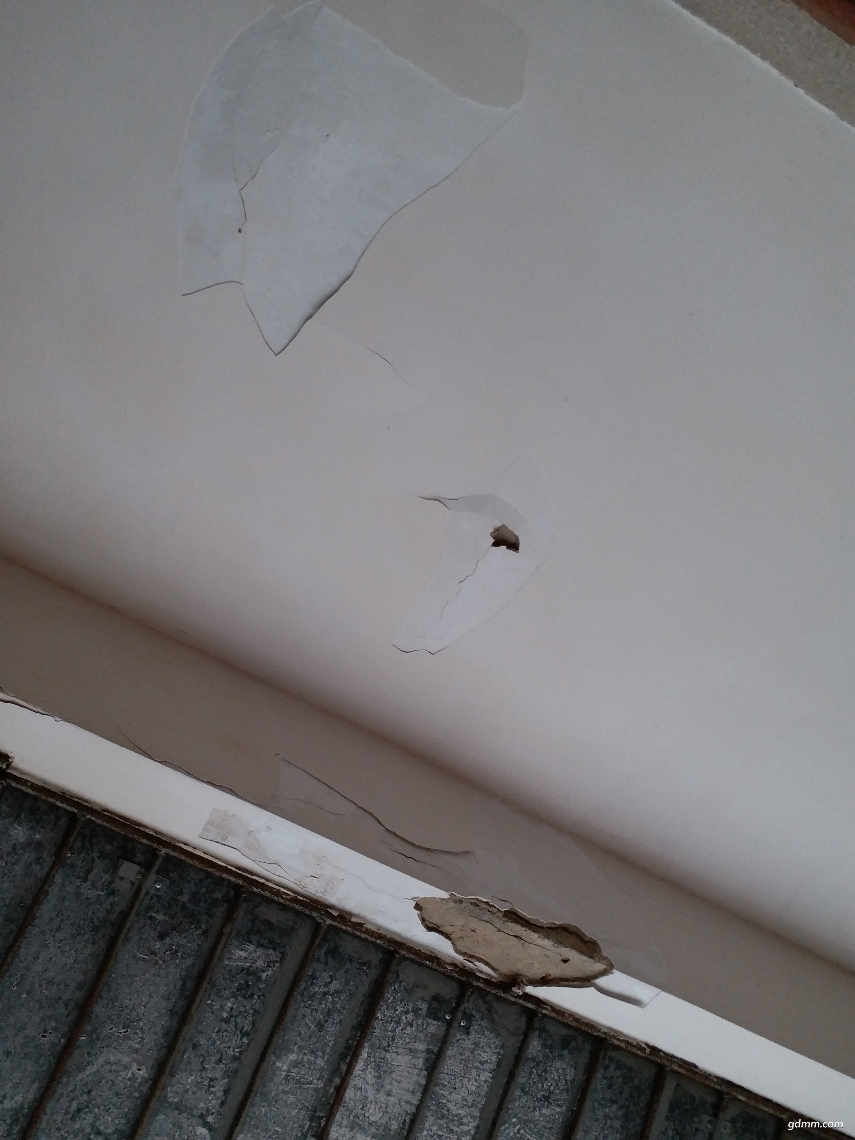 20180423_100939.jpg