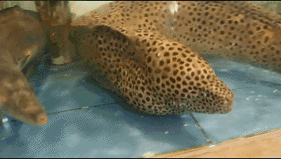 ΢��ͼƬ_20180423115015.gif