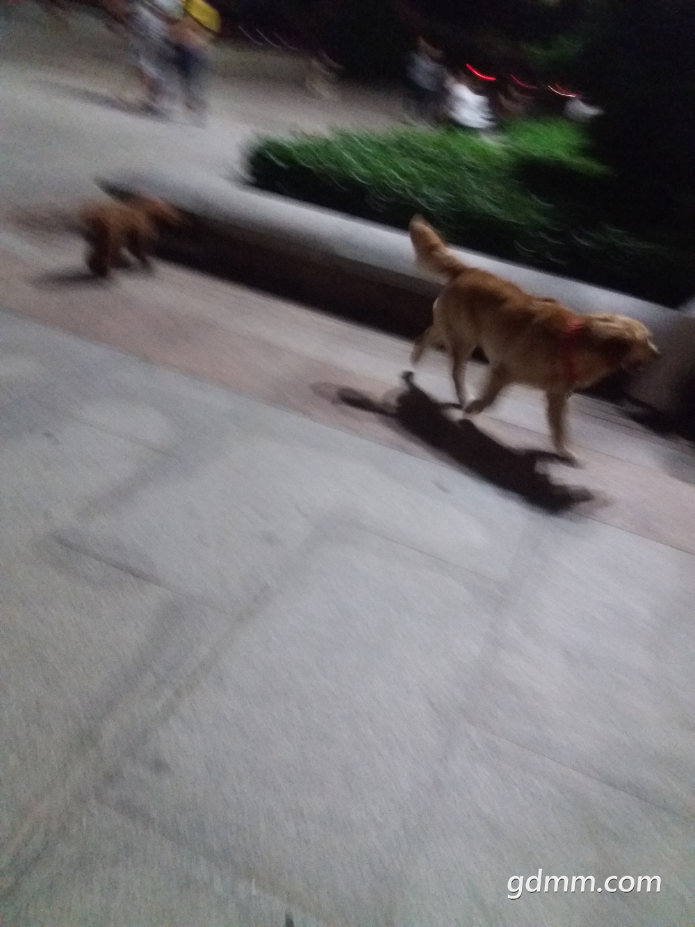 20180425_201326.jpg