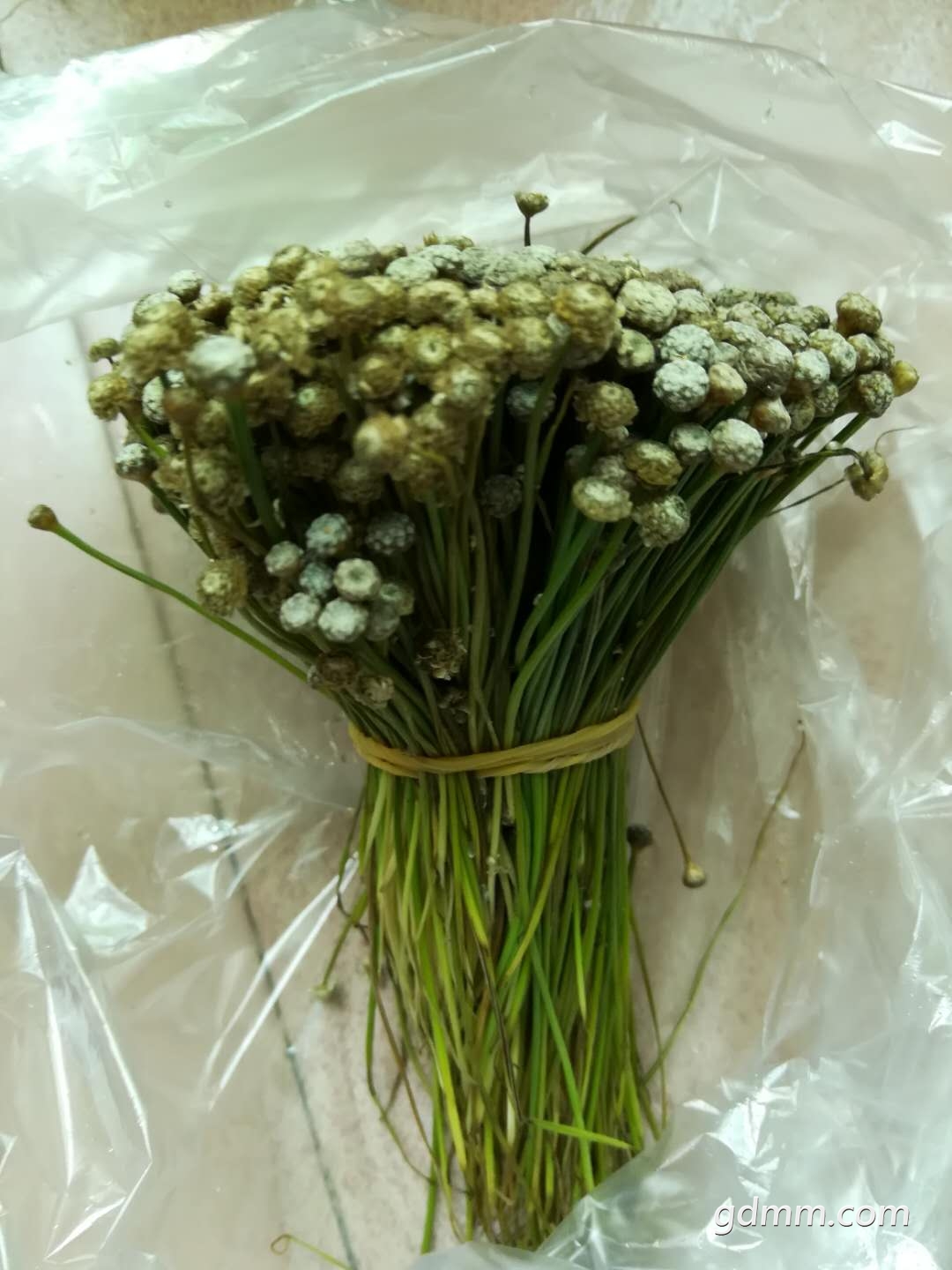΢��ͼƬ_20180401131723.jpg