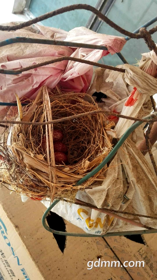 ΢��ͼƬ_20180429204914.jpg