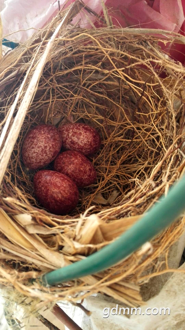 ΢��ͼƬ_20180429204919.jpg