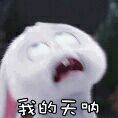 1525150711232_.jpg
