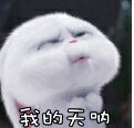 1525150711223_.jpg