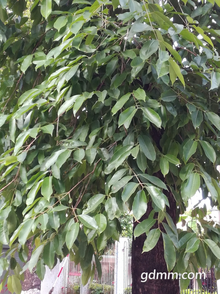 IMG_20180504_080940.jpg