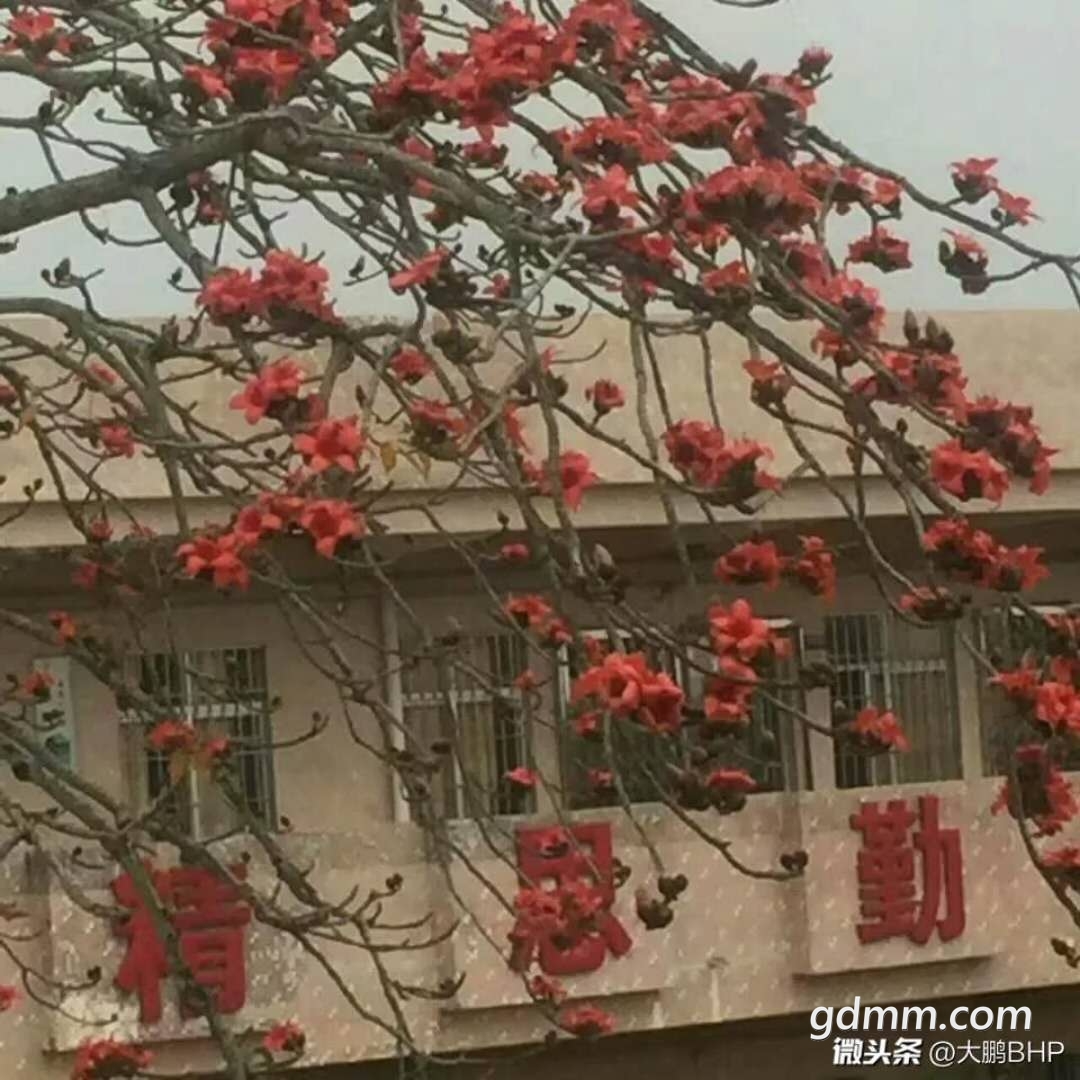 ΢��ͼƬ_20180509151039.jpg