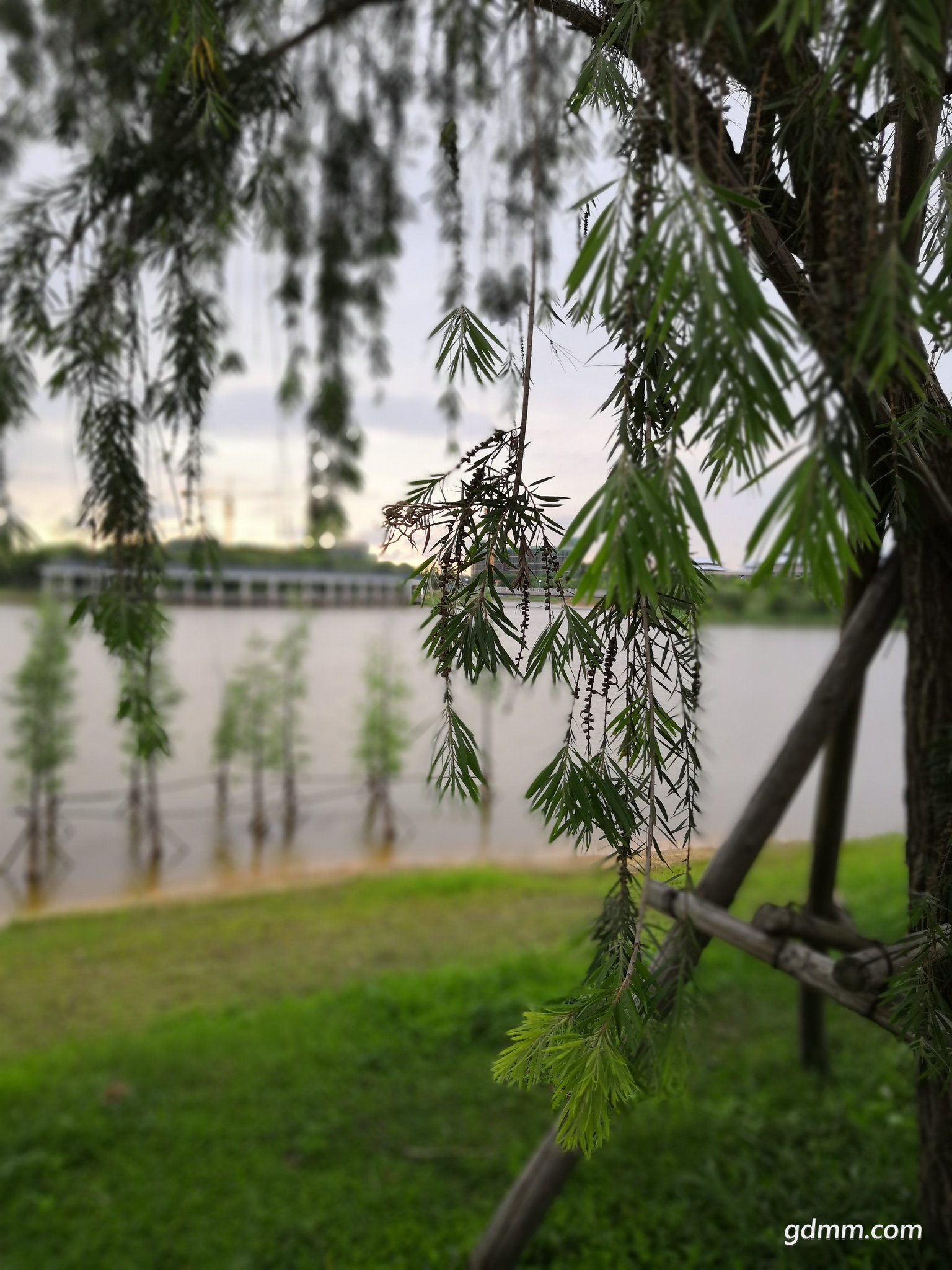 IMG_20180514_174845.jpg