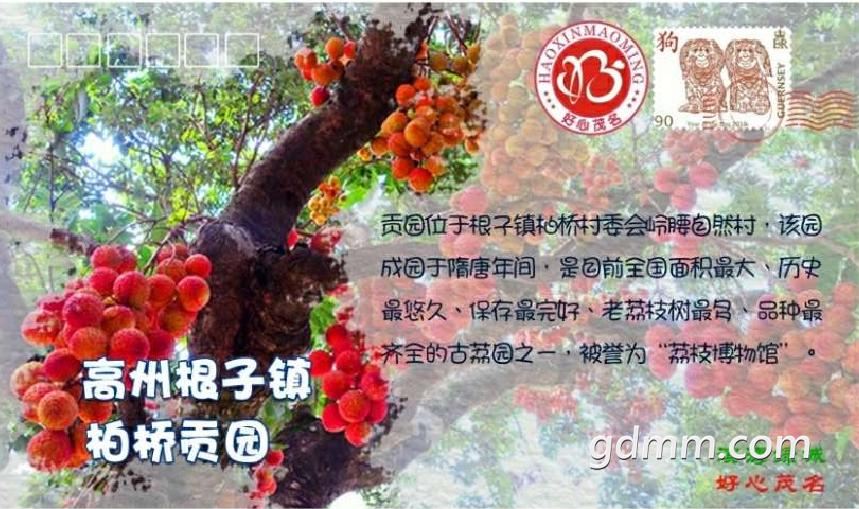 QQ��ͼ20180531112854-09.png
