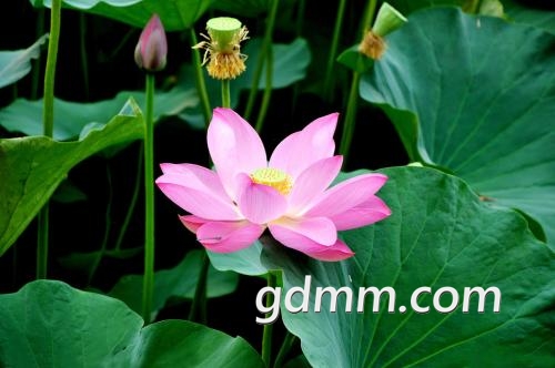 u=1695020297,3259034875&amp;fm=27&amp;gp=0.jpg