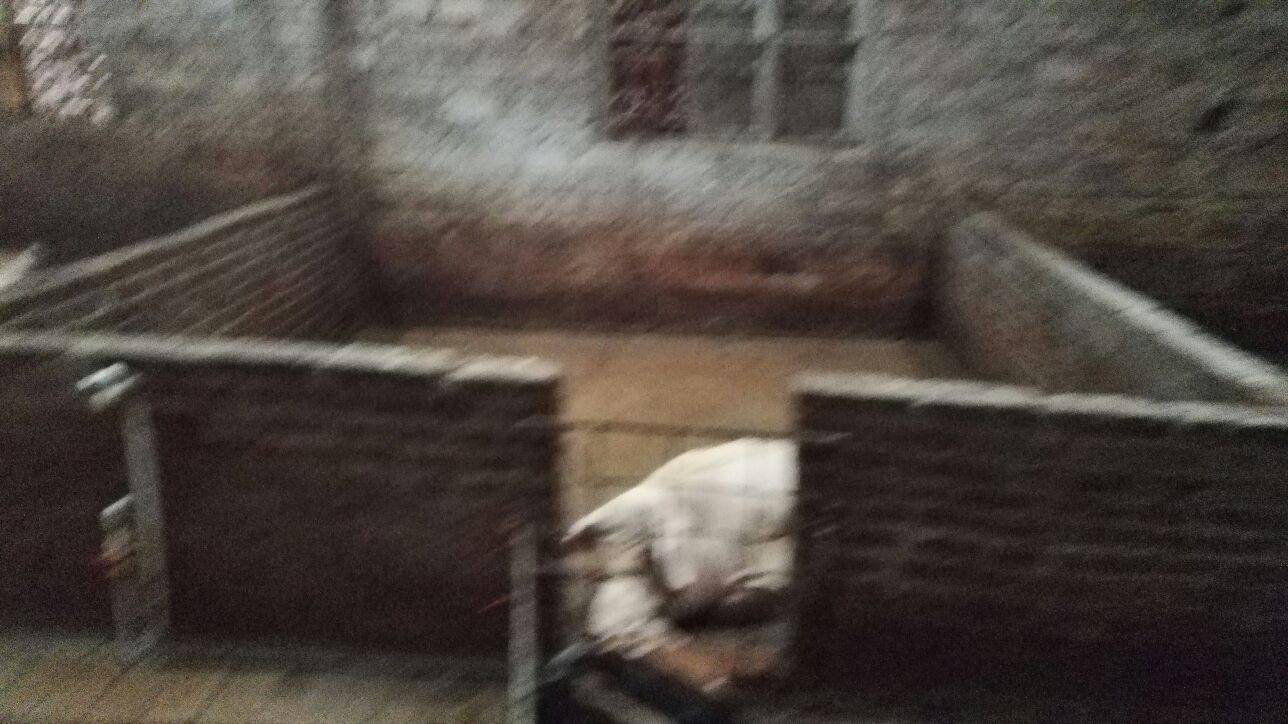 1528296031607_.jpg