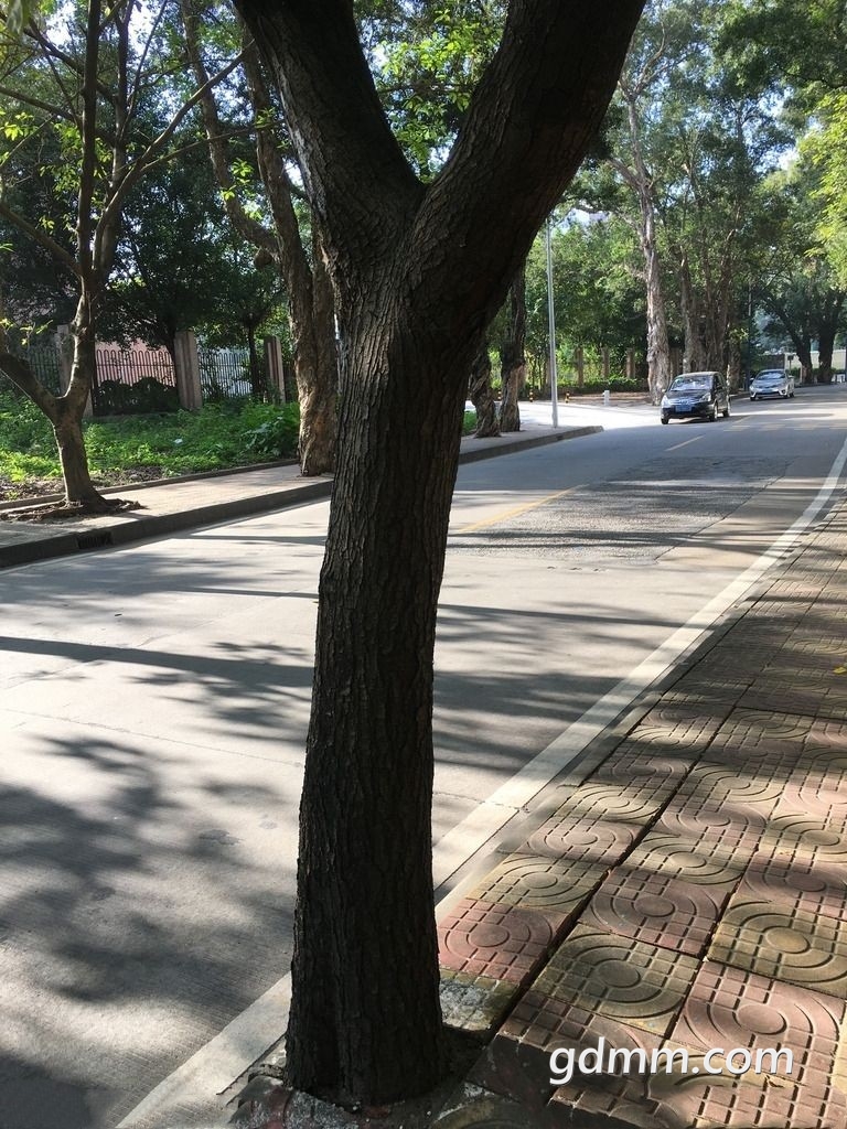timg (6)_����.jpg