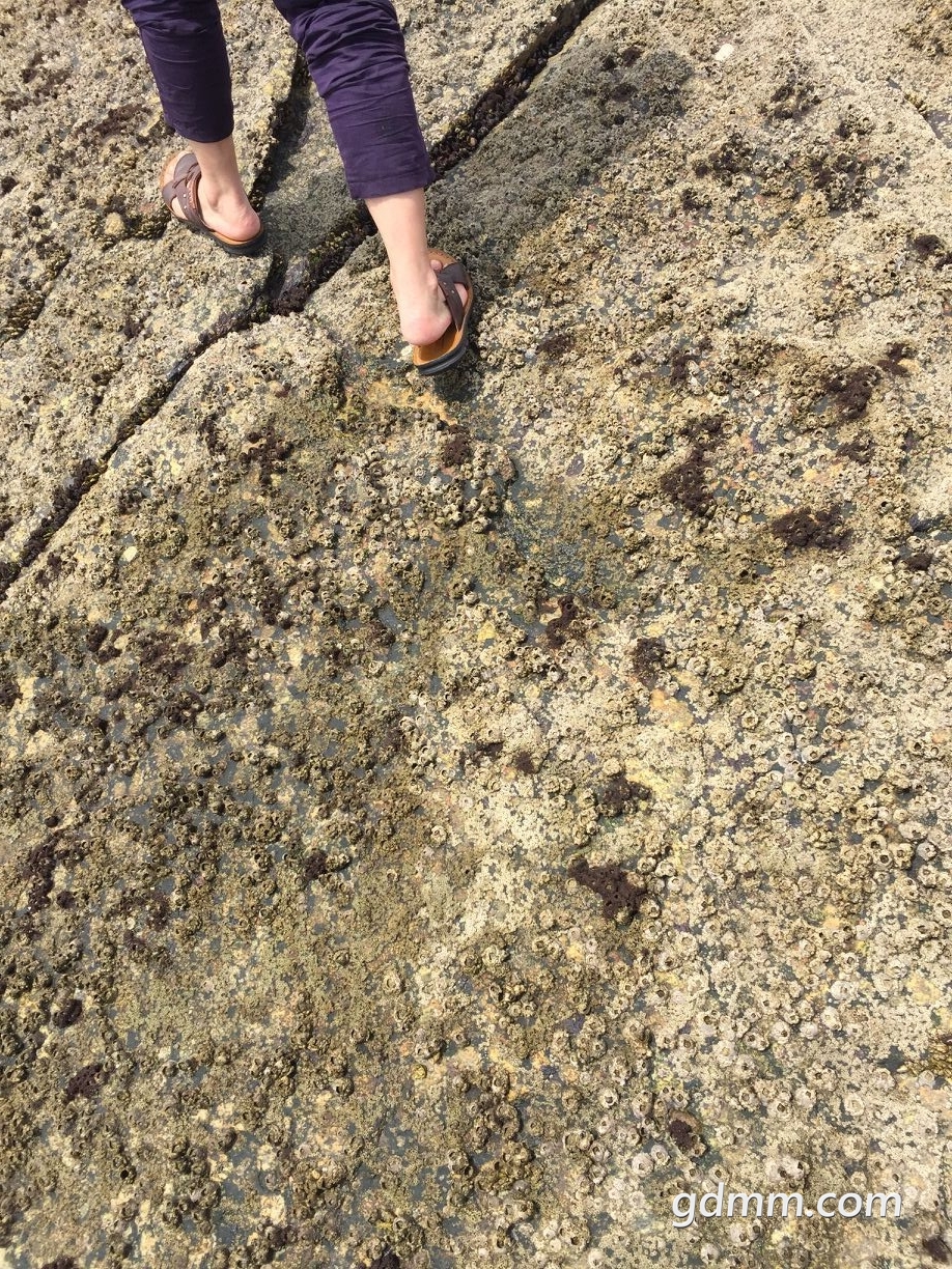 QQͼƬ20180611125740.jpg