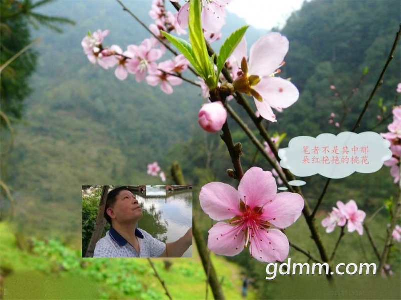 154219d6zwa5ndkrxyzkzu.jpg