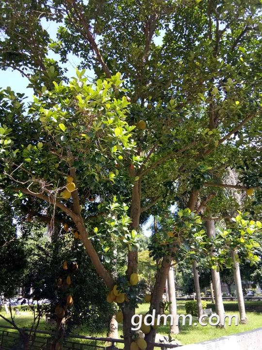 ΢��ͼƬ_20180629143558.jpg