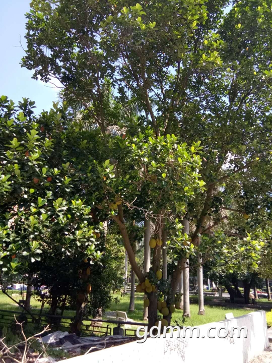 ΢��ͼƬ_20180629143606.jpg