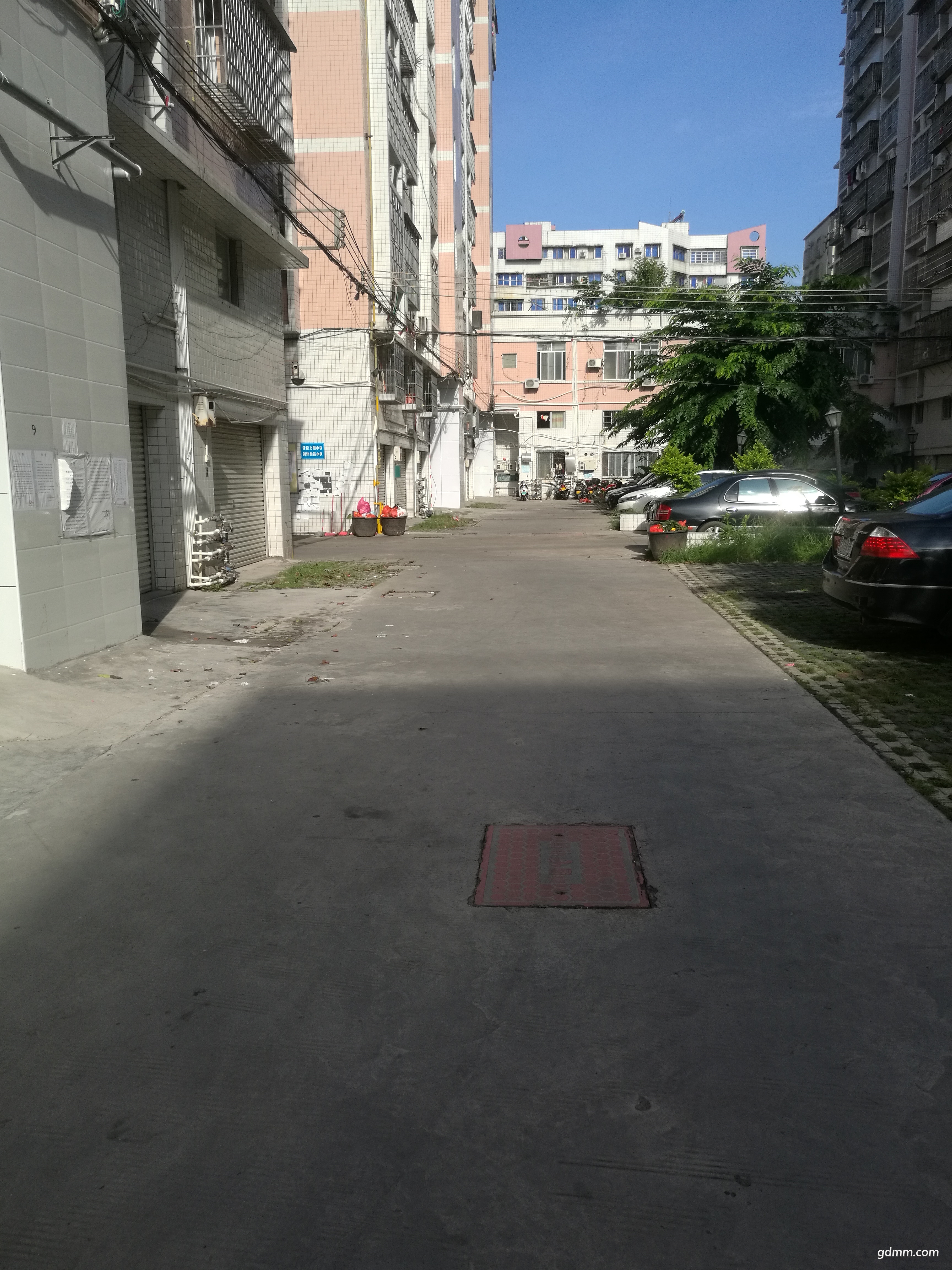 IMG_20180702_082538.jpg
