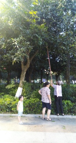 IMG_20180704_193711.jpg