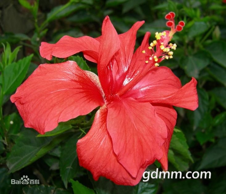d31b0ef41bd5ad6e5d951d398bcb39dbb7fd3cf0.jpg