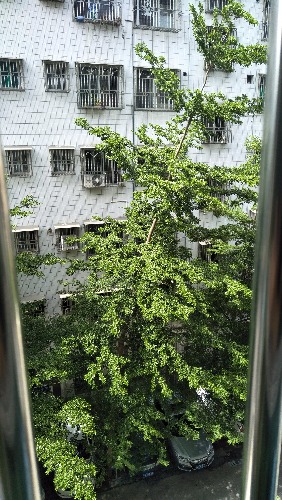 IMG20180718101047.jpg