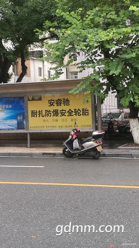 333_����.jpg