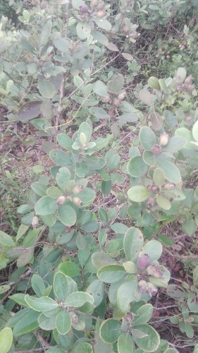 IMG_20180725_183326.jpg