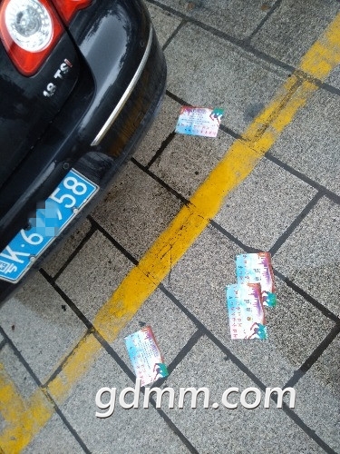 110116qasb8447sltx4nbs_����.jpg