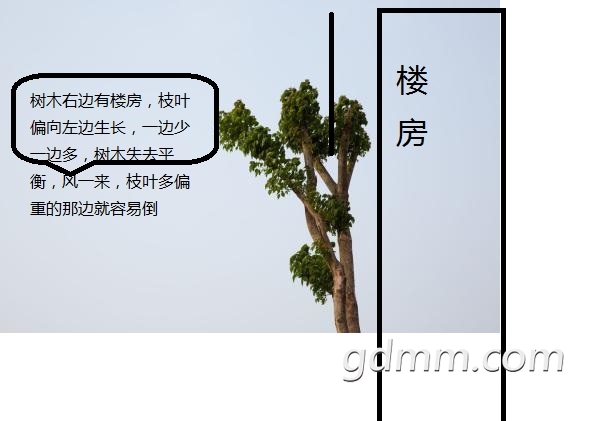 u=2886047629,2300966821&amp;fm=200&amp;gp=0.jpg