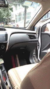 dfbcbc9346e9c44b2208f76ef8169de5.gif