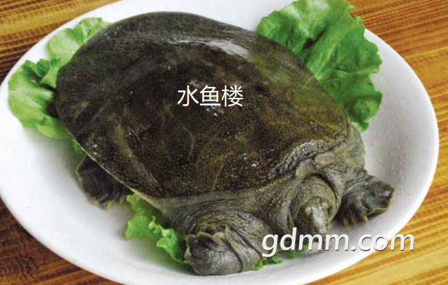΢�Ž�ͼ_20180901161116.png