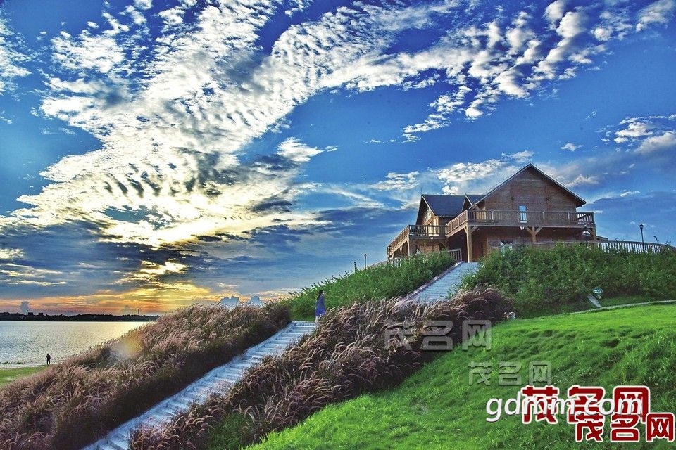 0BFBC30D-07FE-4A61-8EAD-E48C0851CEA8.jpeg