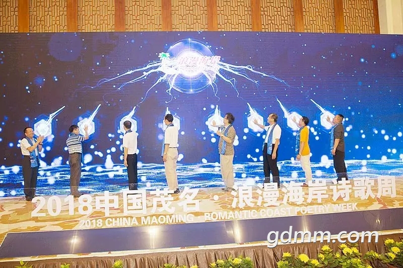 55555.webp.jpg