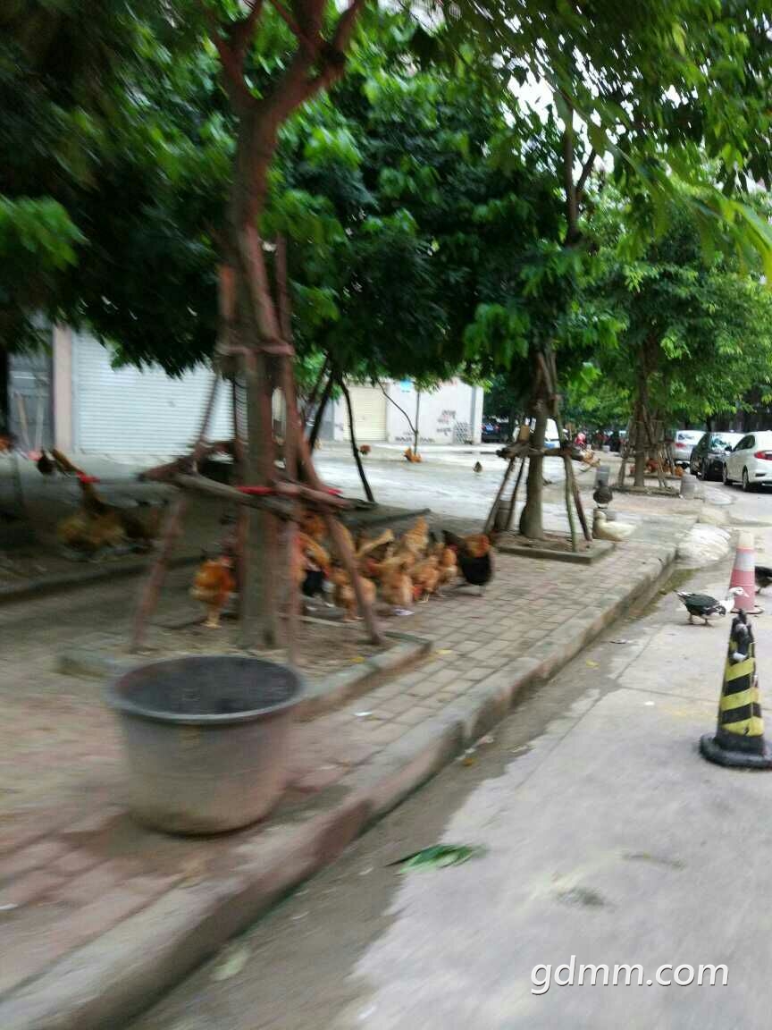 һ�и��ж���.jpg