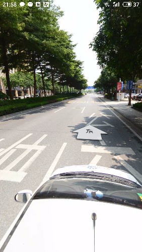 S81003-21582859.jpg