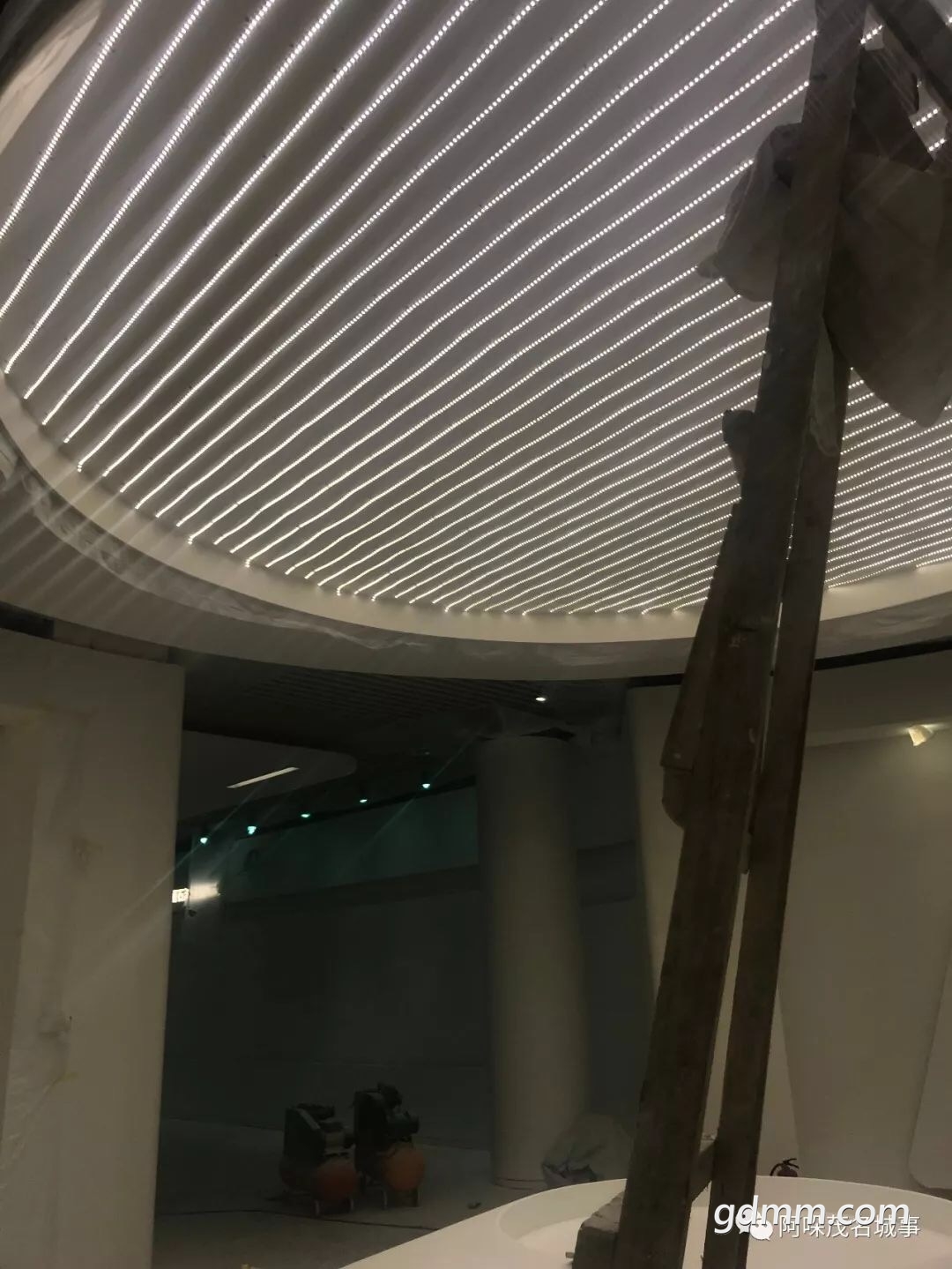 D04722A3-088E-4DE0-BF2F-FA146AA1E361.jpeg