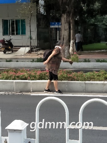 IMG20181024121639.jpg