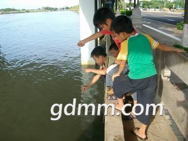 20100118225545_aqqrehgn.JPG
