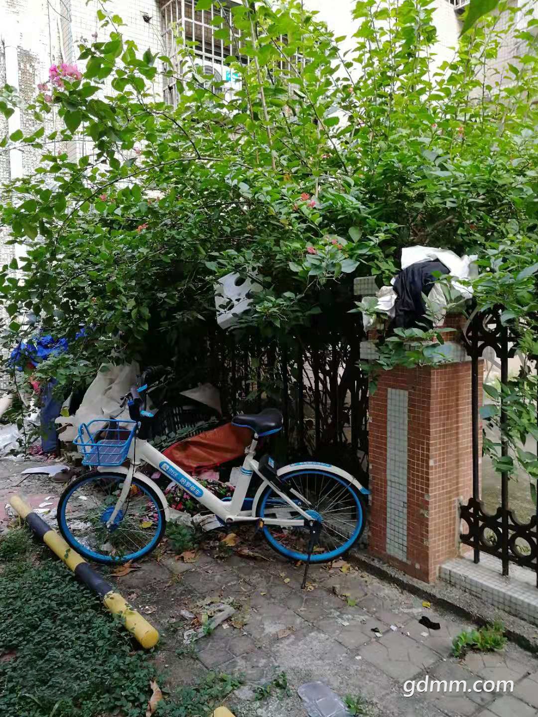 ΢��ͼƬ_20181030085814.jpg
