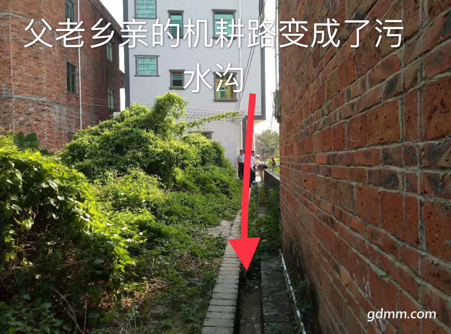 31.jpg