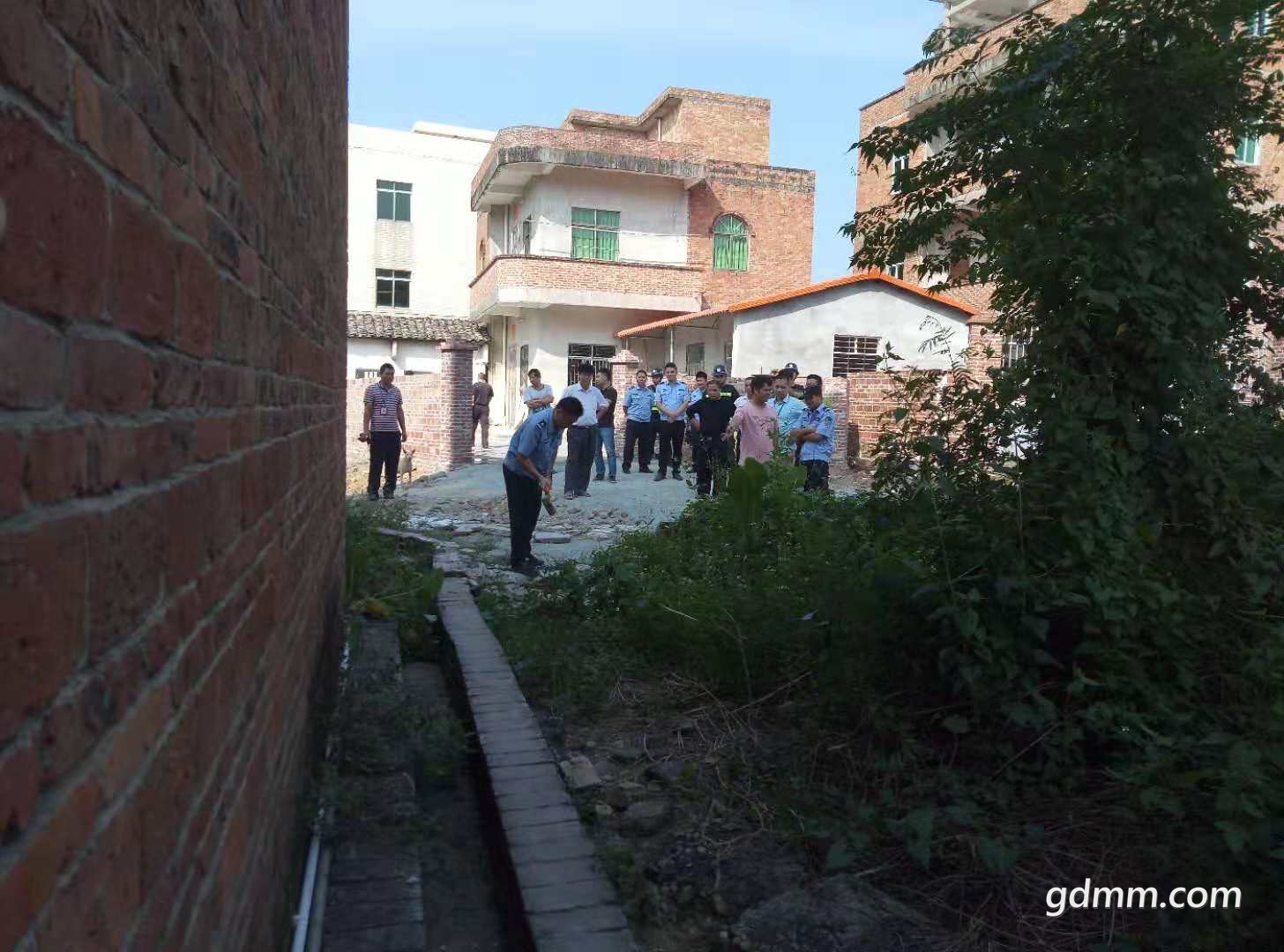 33.jpg