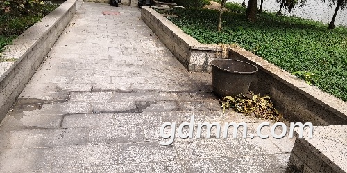 IMG_20181110_101737.jpg