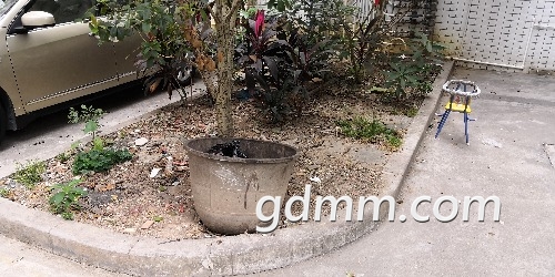 IMG_20181110_100707.jpg