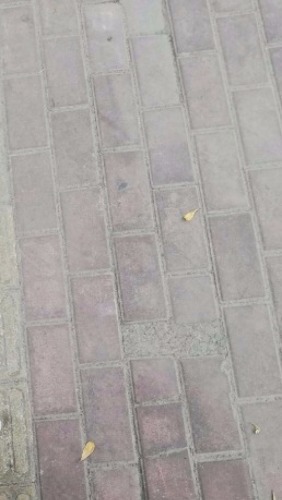 S81110-13171656.jpg