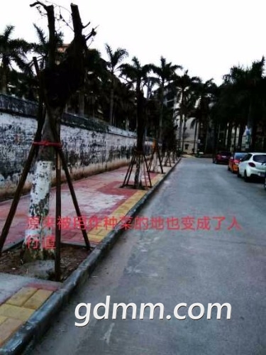 20181111230812-forum.jpg