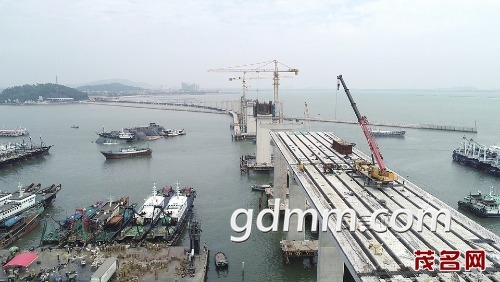 mmexport1541985360802.jpeg