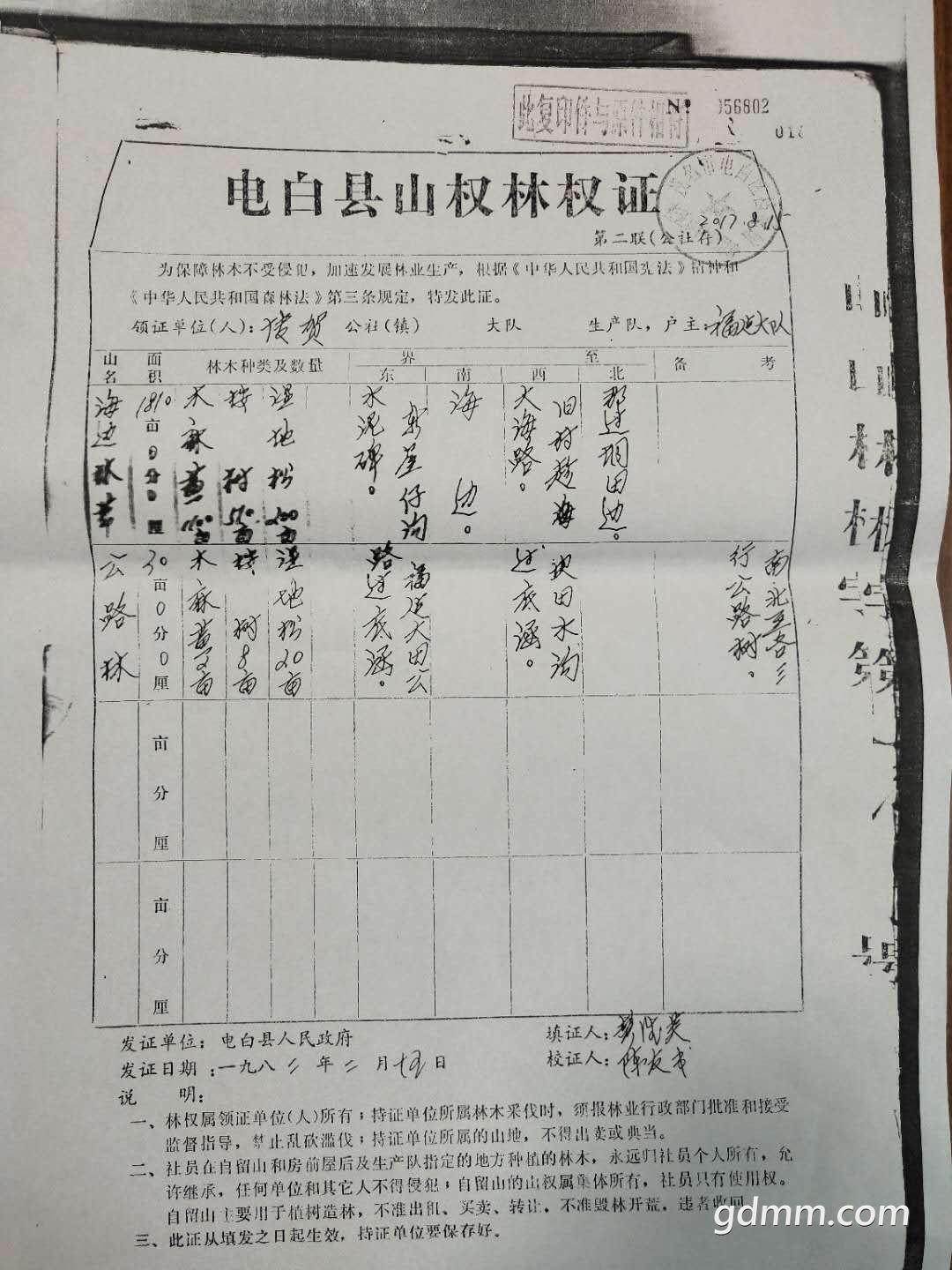 187824425396706605.jpg