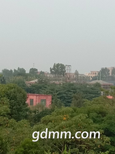 IMG_20181113_082236.jpg