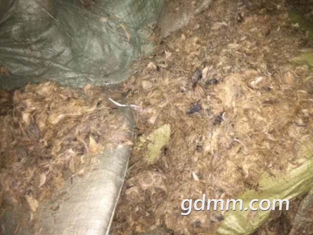 ΢��ͼƬ_20181202194534.jpg